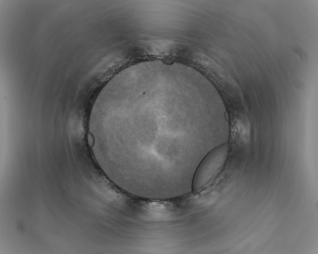 X0000111220566200908131104
