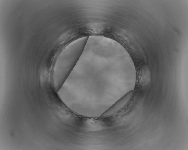X0000111220568200908131104