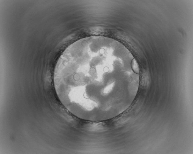 X0000111220569200908131104