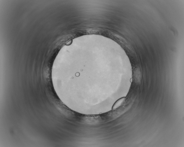 X0000111220571200908131104