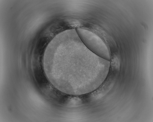 X0000111220572200908131104