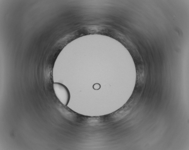 X0000111220574200908131104
