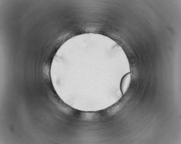 X0000111220575200908131104