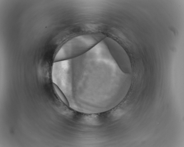 X0000111220576200908131104