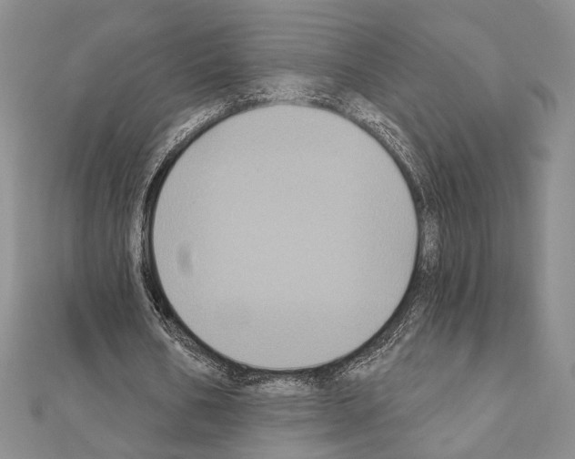 X0000111220578200908131103
