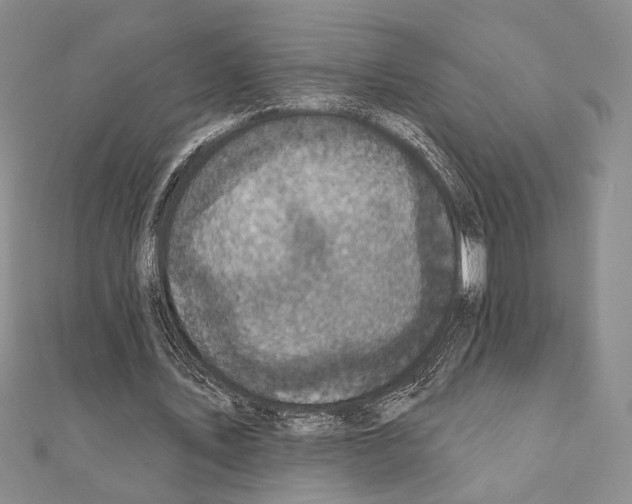 X0000111220579200908131103