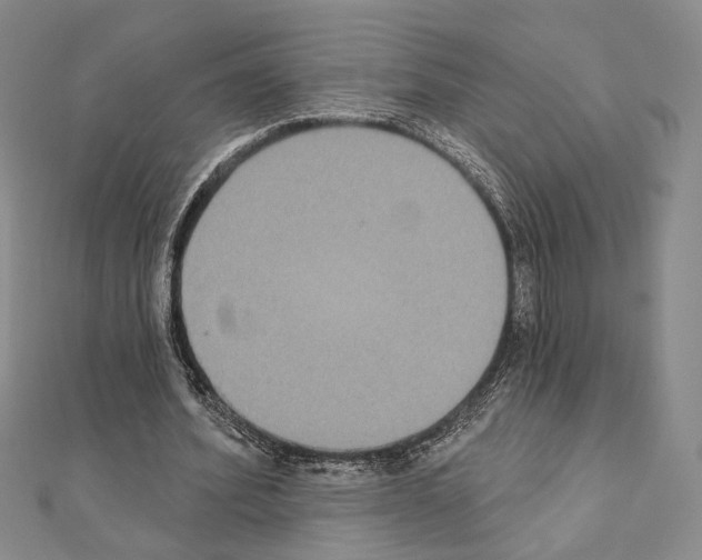 X0000111220580200908131103