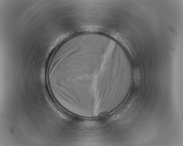 X0000111220581200908131103