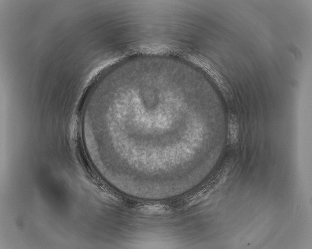 X0000111220583200908131103