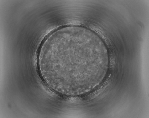 X0000111220584200908131103