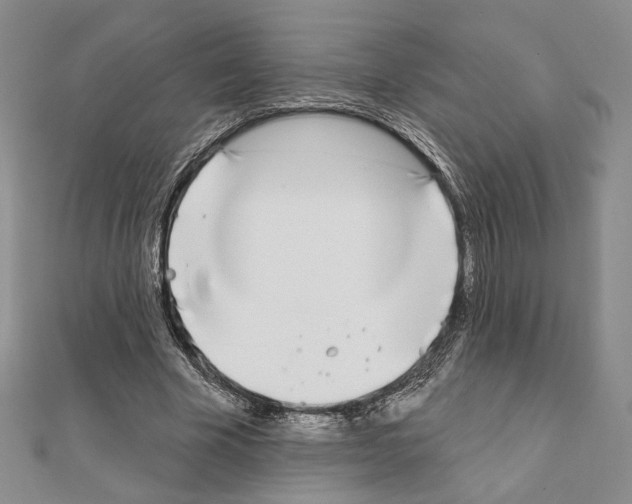 X0000111220585200908131103