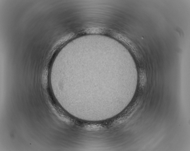 X0000111220586200908131103