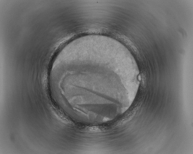 X0000111220588200908131103