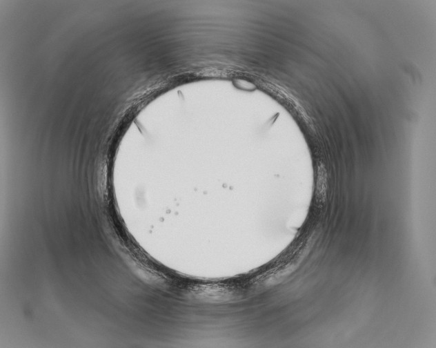 X0000111220589200908131103