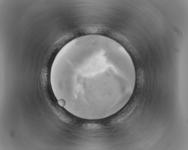 X0000111220590200908131103