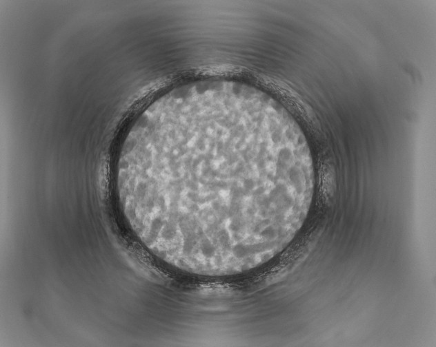 X0000111220591200908131103