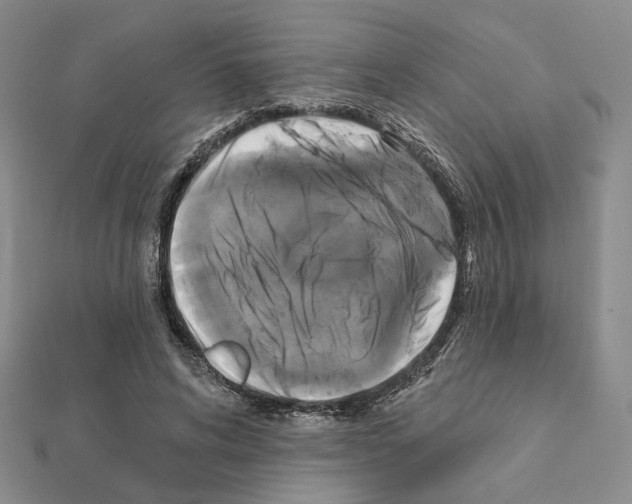 X0000111220592200908131103