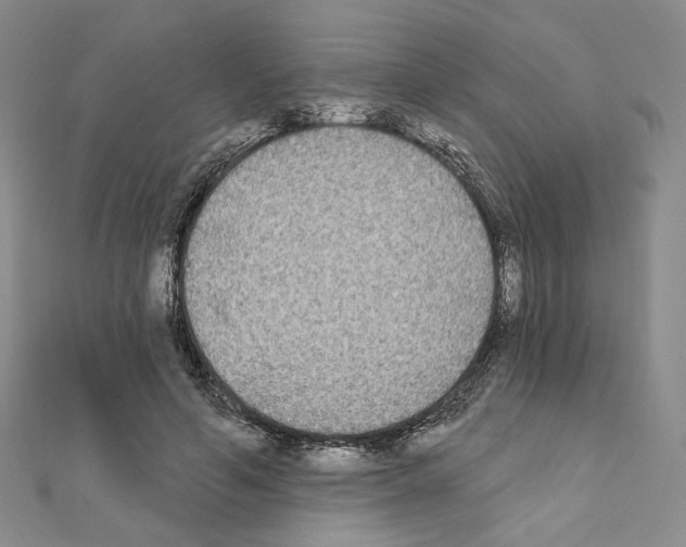 X0000111220594200908131103