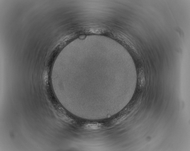 X0000111220595200908131103
