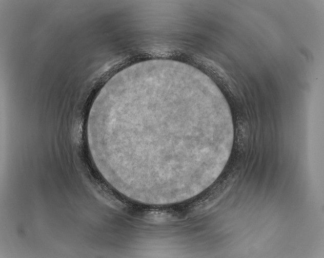 X0000111220596200908131103