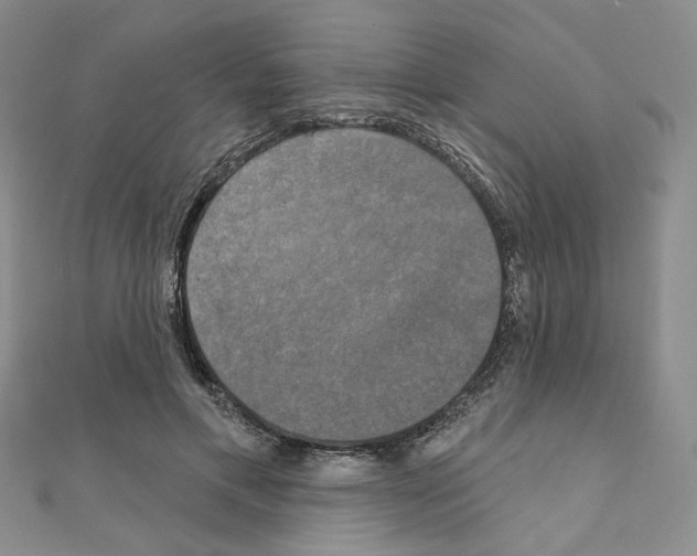 X0000111220597200908131103