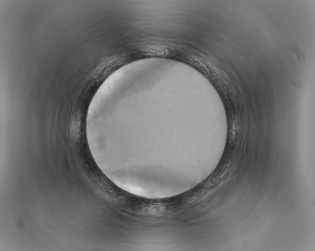 X0000111220600200908131103