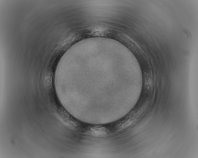 X0000111220603200908131103