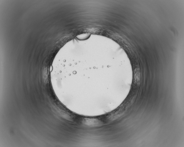 X0000111220605200908131103