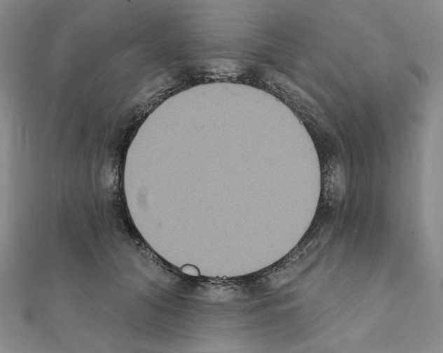 X0000111220608200908131103