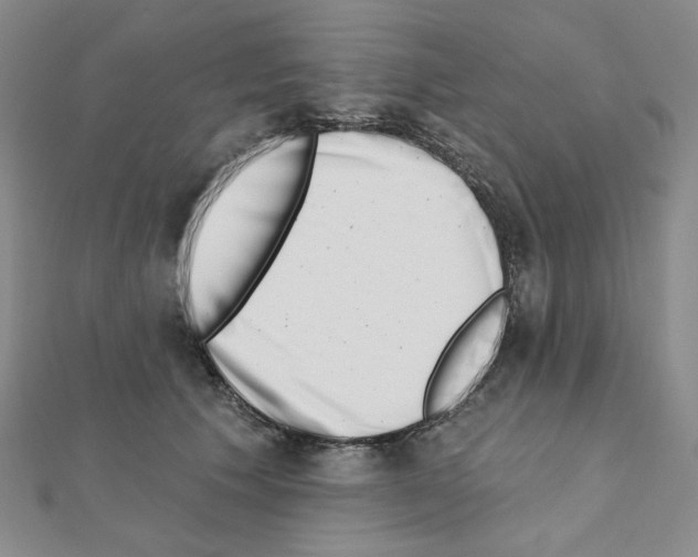X0000111220609200908131103