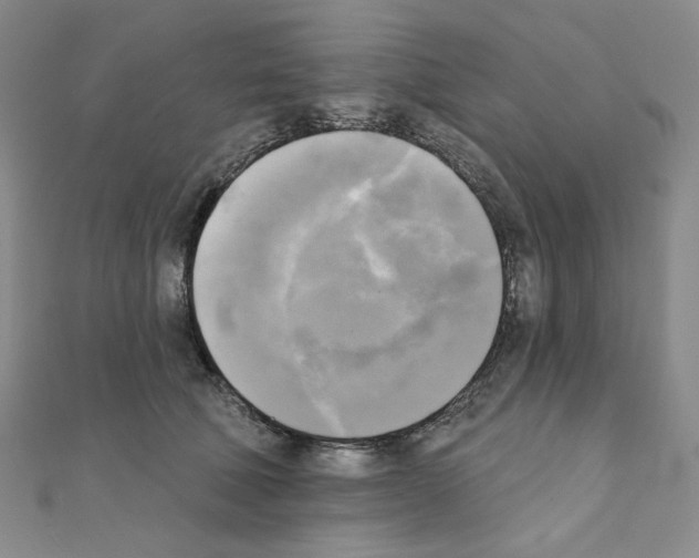 X0000111220610200908131103