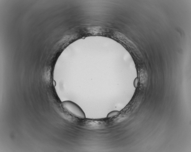 X0000111220611200908131103