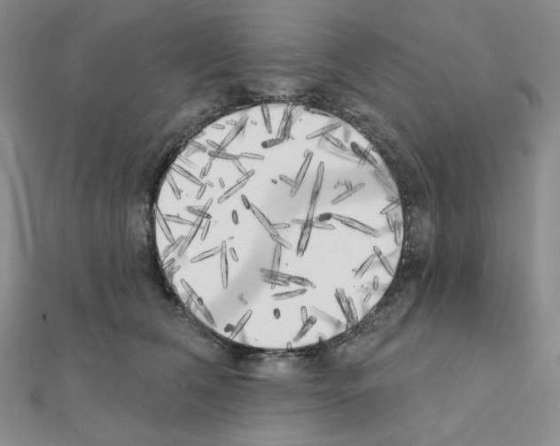 X0000111220612200908131103