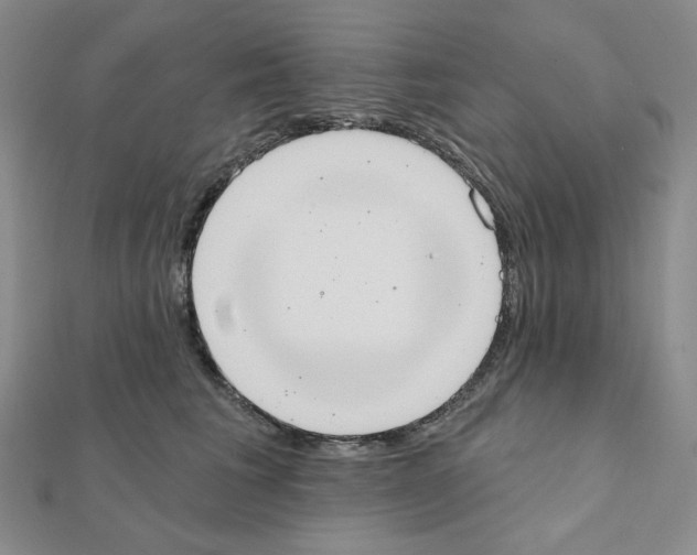 X0000111220613200908131103