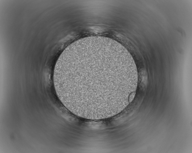 X0000111220615200908131102
