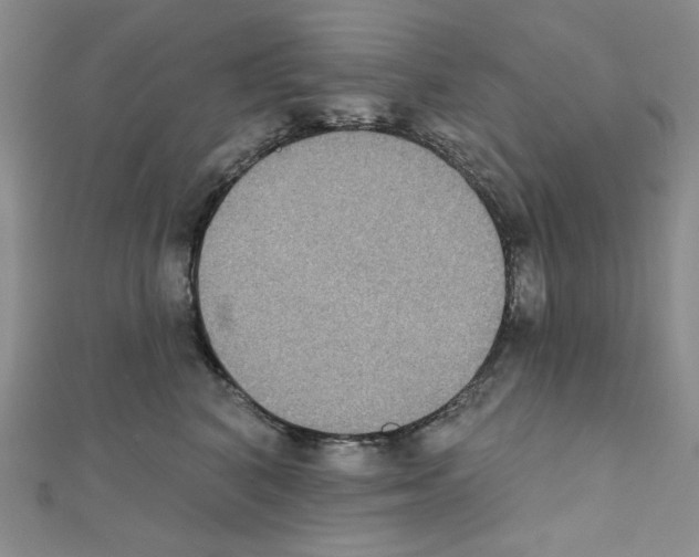 X0000111220616200908131102