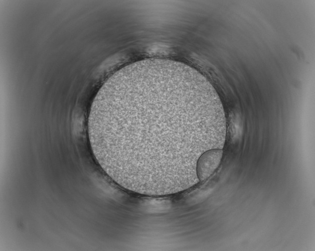 X0000111220619200908131102