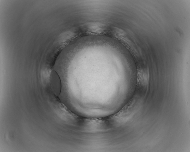 X0000111220621200908131102