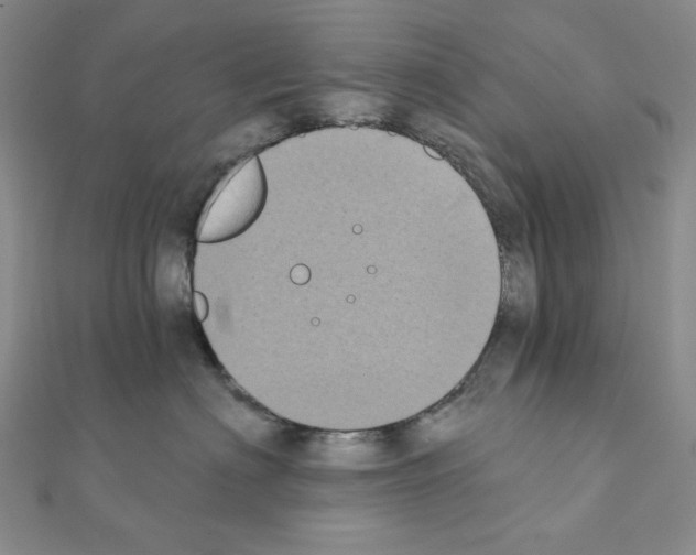 X0000111220622200908131102