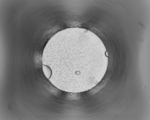X0000111220624200908131102