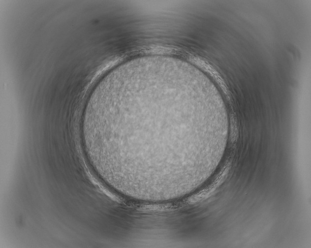 X0000111220625200908131102