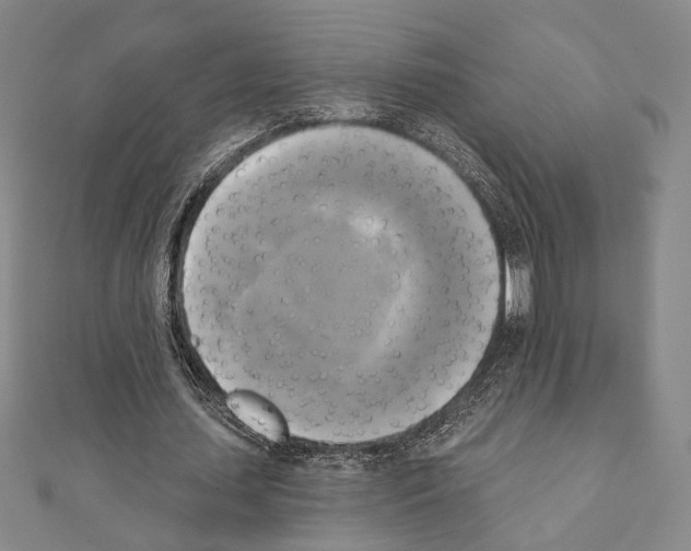 X0000111220627200908131102