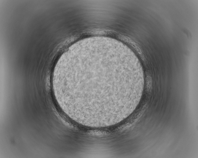 X0000111220633200908131102