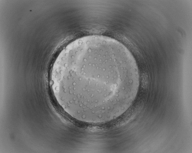 X0000111220634200908131102