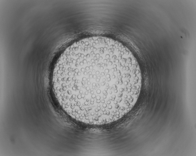 X0000111220635200908131102