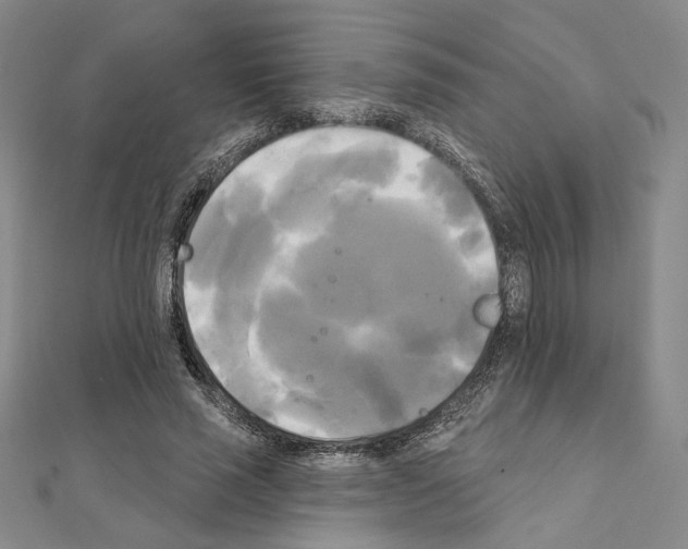 X0000111220637200908131102
