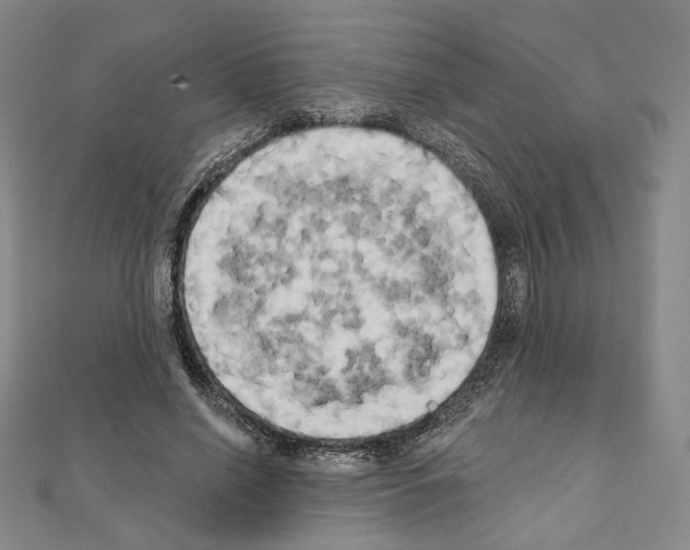 X0000111220638200908131102