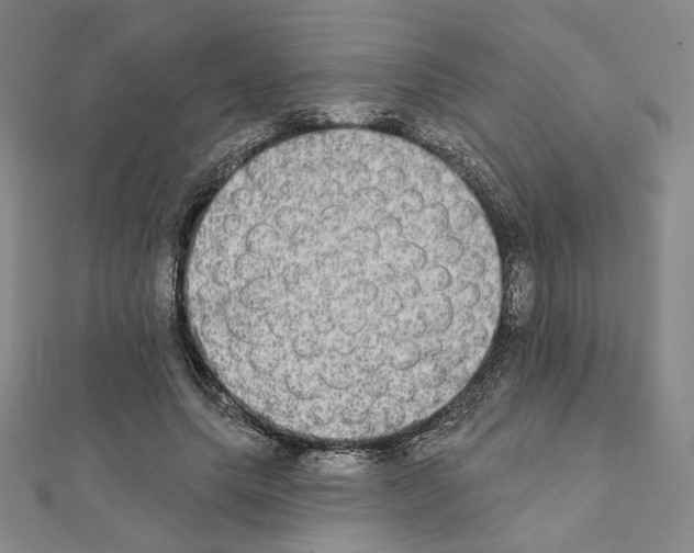 X0000111220639200908131102