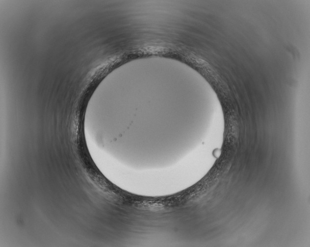 X0000111220640200908131102