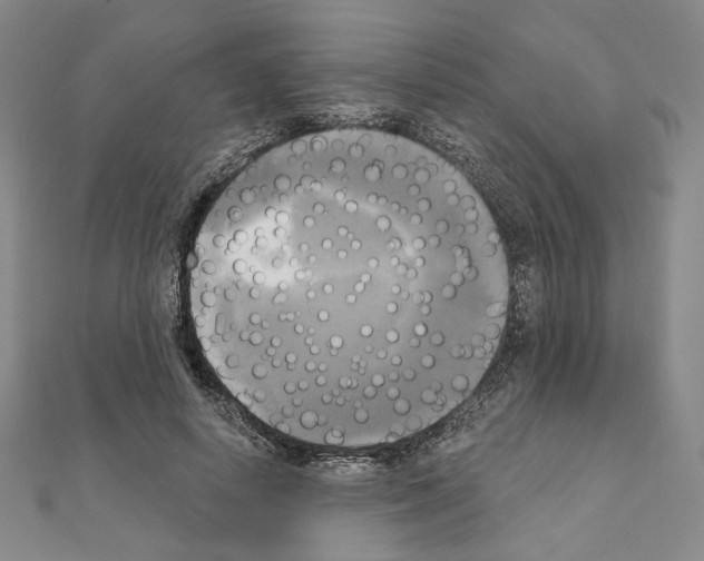 X0000111220642200908131102